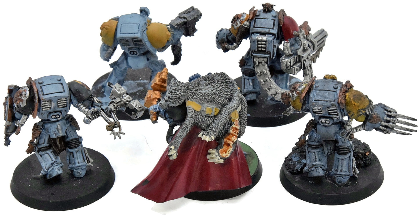 SPACE WOLVES 5 Terminator Wolf Guards #1 Warhammer 40K