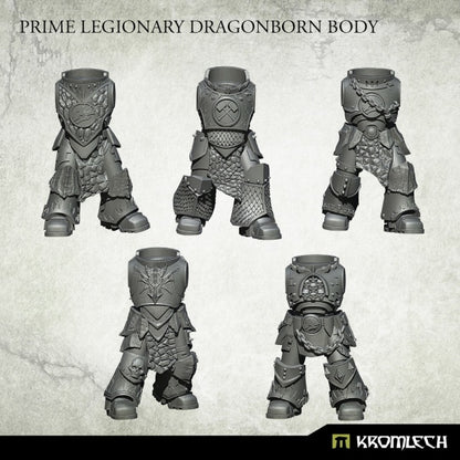 Dragonborn Prime Bodies (5) (KRCB236)