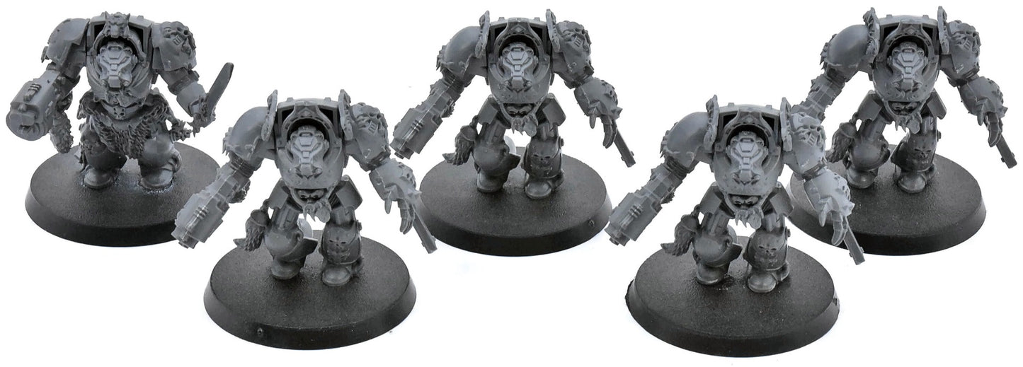 SPACE WOLVES 5 Wolf Guard Terminators #2 Warhammer 40K 8026