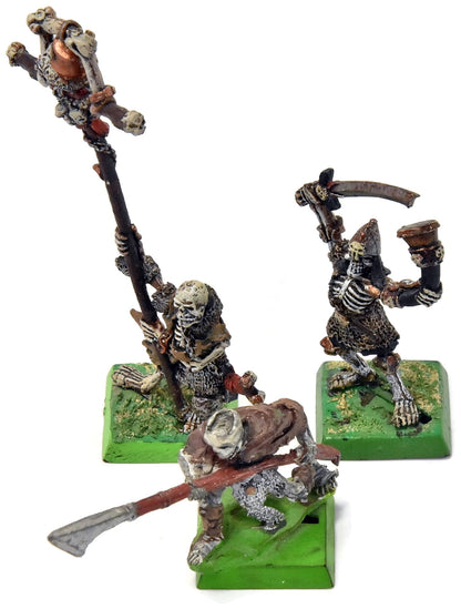 VAMPIRE COUNTS 3 Skeletons Command METAL Fantasy