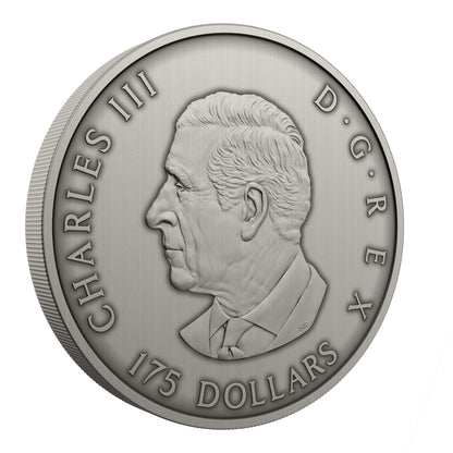 Predator or Prey in Shadow Box – Fine Silver Coin