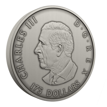 Predator or Prey in Shadow Box – Fine Silver Coin (247976)