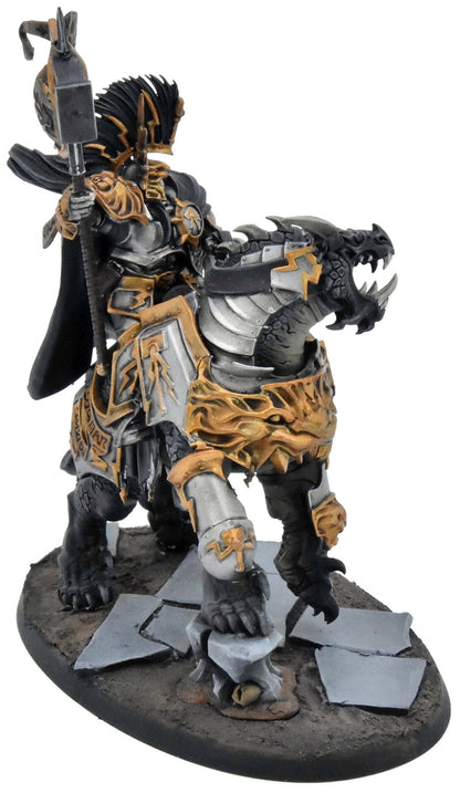 STORMCAST ETERNALS Vandus Hammerhand #1 WELL PAINTED Warhammer Sigmar
