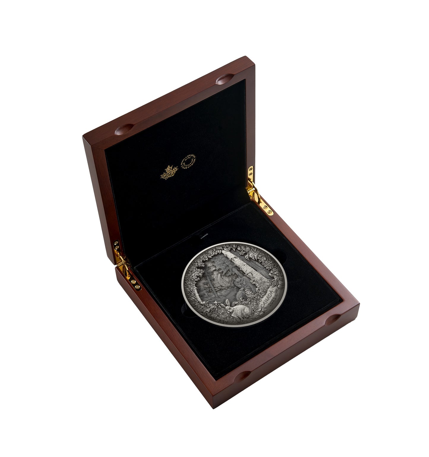 Predator or Prey in Shadow Box – Fine Silver Coin