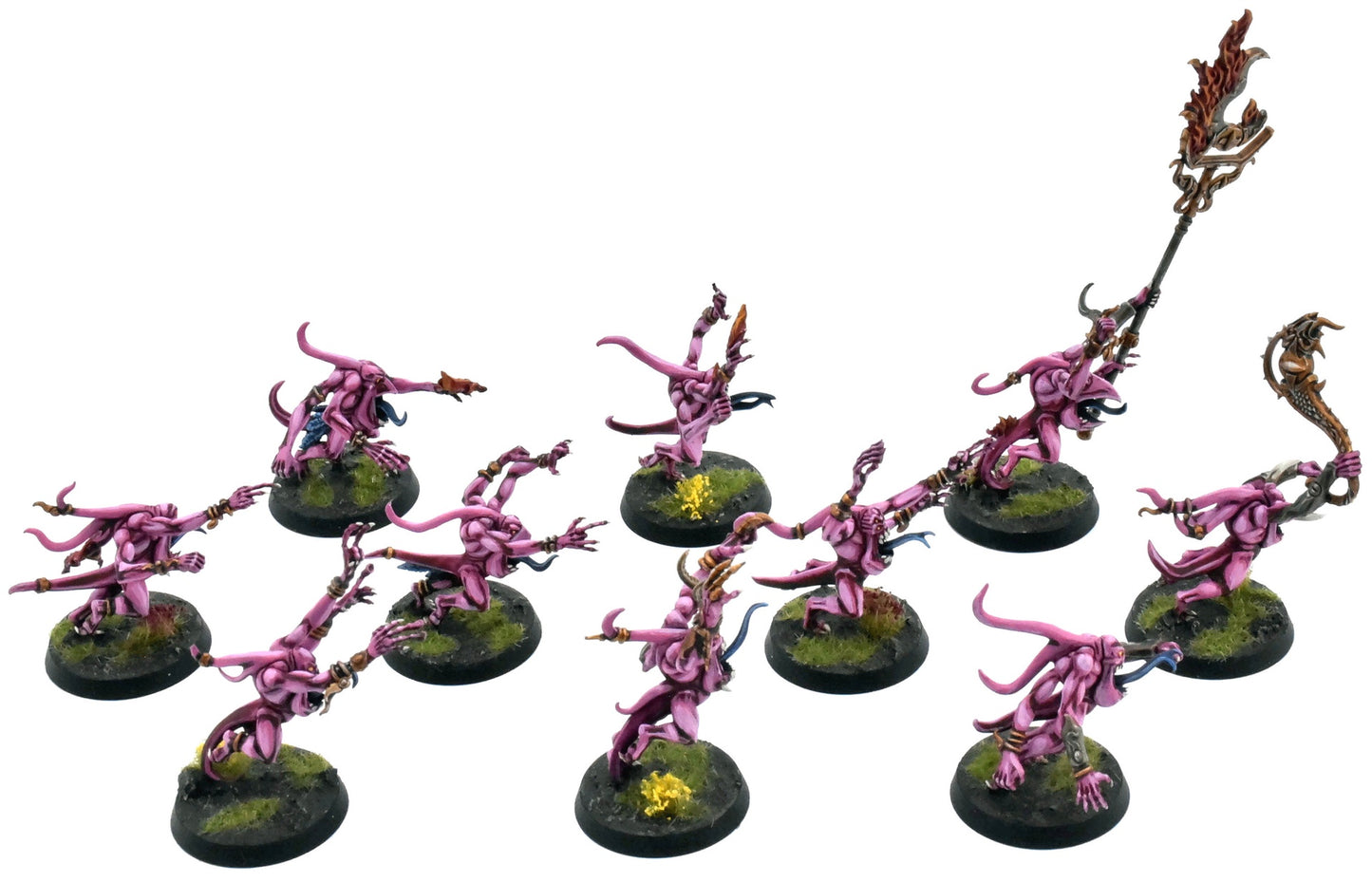 DISCIPLES OF TZEENTCH 10 Pink Horrors Of Tzeentch #1 COMMISSION PRO PAINTED 0119