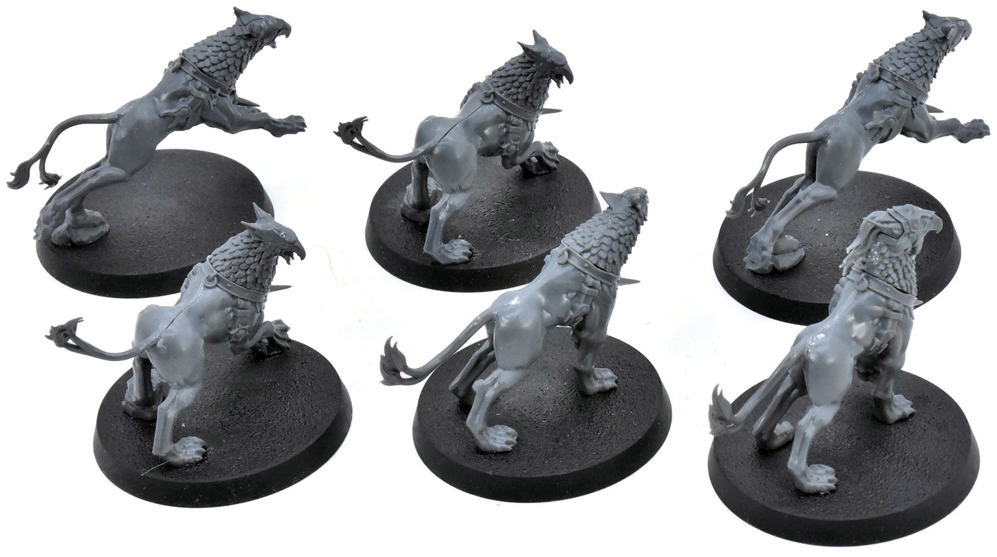 STORMCAST ETERNALS 6 Gryph Hounds #2 Warhammer Sigmar