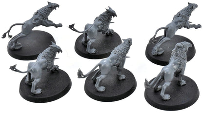 STORMCAST ETERNALS 6 Gryph Hounds #2 Warhammer Sigmar