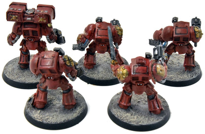 BLOOD ANGELS 5 Terminator Squad #3 WELL PAINTED Warhammer 40K