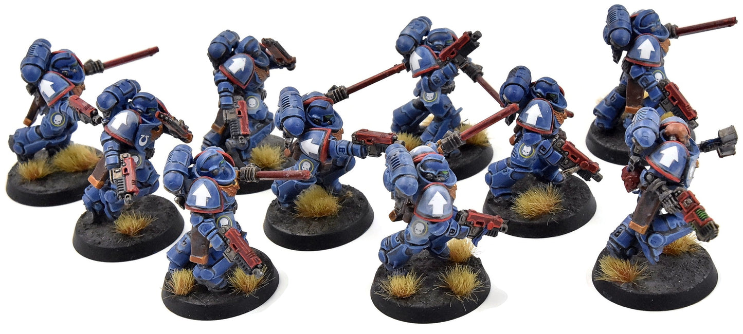 SPACE MARINES 10 Assault Intercessors #1 WELL PAINTED Ultramarines 40K