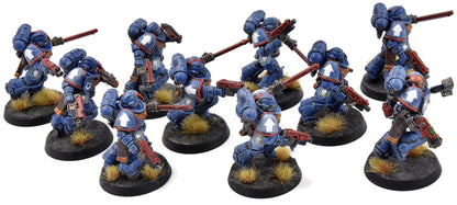 SPACE MARINES 10 Assault Intercessors #1 WELL PAINTED Ultramarines 40K