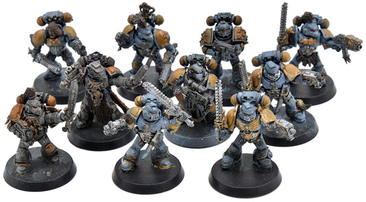 SPACE WOLVES 10 Grey Hunter #3 Warhammer 40K