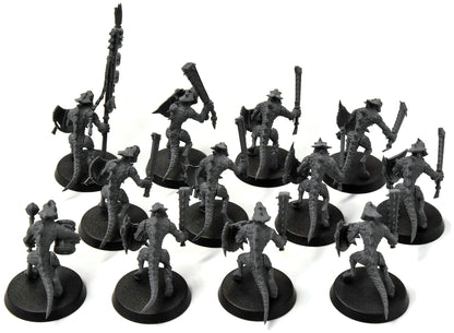 SERAPHON 12 Saurus Warriors #1 Warhammer Sigmar
