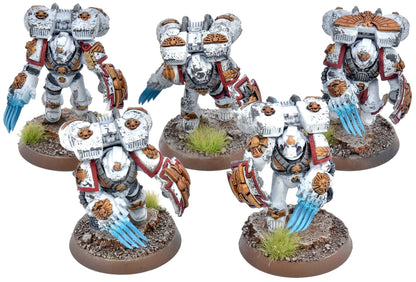 SPACE MARINES 5 Vanguard Veteran Squad #4 WELL PAINTED 40K White Scars
