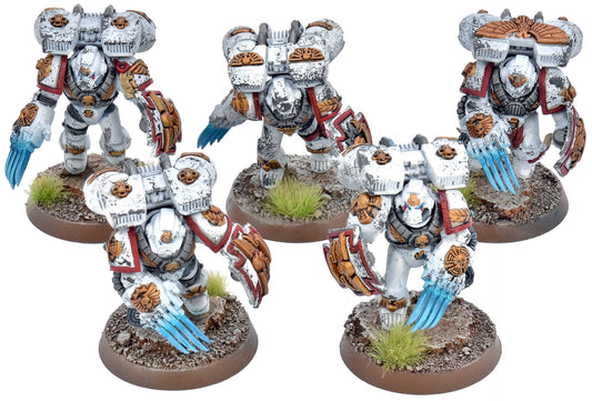 SPACE MARINES 5 Vanguard Veteran Squad #4 WELL PAINTED 40K White Scars