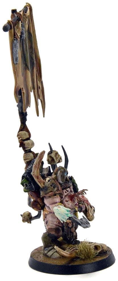 MAGGOTKIN OF NURGLE Lord of Plague #1 CONVERTED WELL PAINTED Sigmar