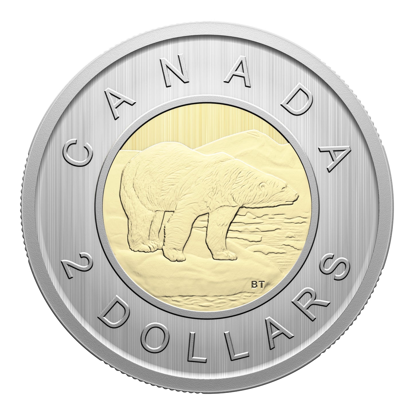 Specimen Set – Monarch Butterfly (2025)