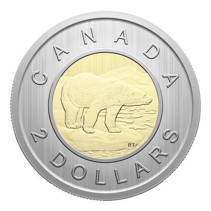 Specimen Set – Monarch Butterfly (2025)