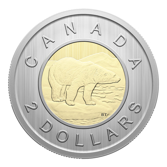 Specimen Set – Monarch Butterfly (2025)