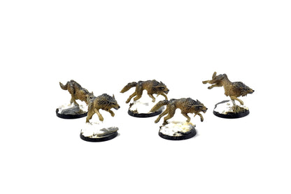 SPACE WOLVES Fenrisian Wolves #2 PRO PAINTED 40k