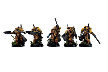 SPACE MARINES 5 Assault Intercessors #1 PRO PAINTED Minotaurs 40k