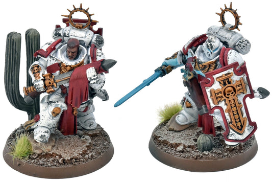 SPACE MARINES 2 Bladeguard Veterans #2 WELL PAINTED 40K White Scars