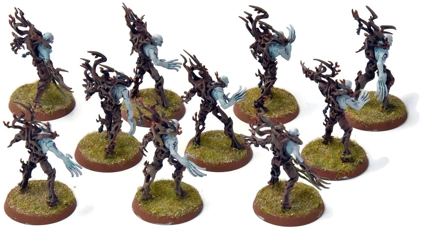 SYLVANETH 10 Spite Revenants #1 WELL PAINTED Sigmar