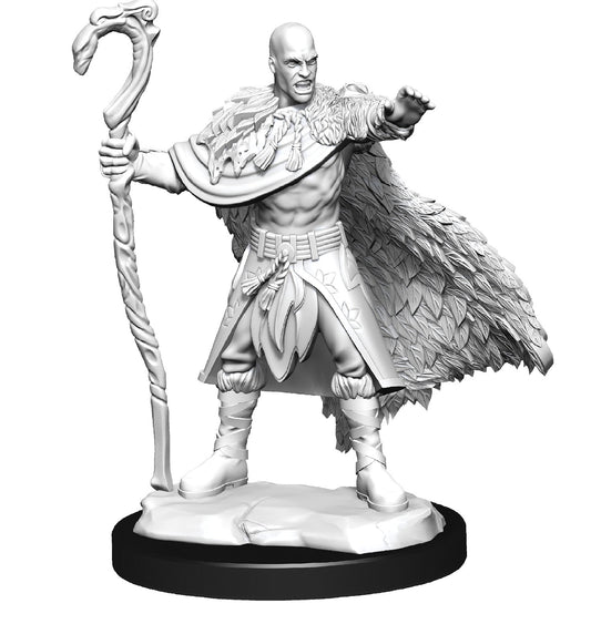 D&D Unpainted Minis Wv14 Human Druid Male