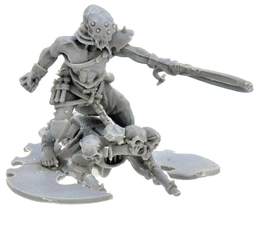 DRUKHARI Beastmaster #1 Warhammer 40K FINECAST