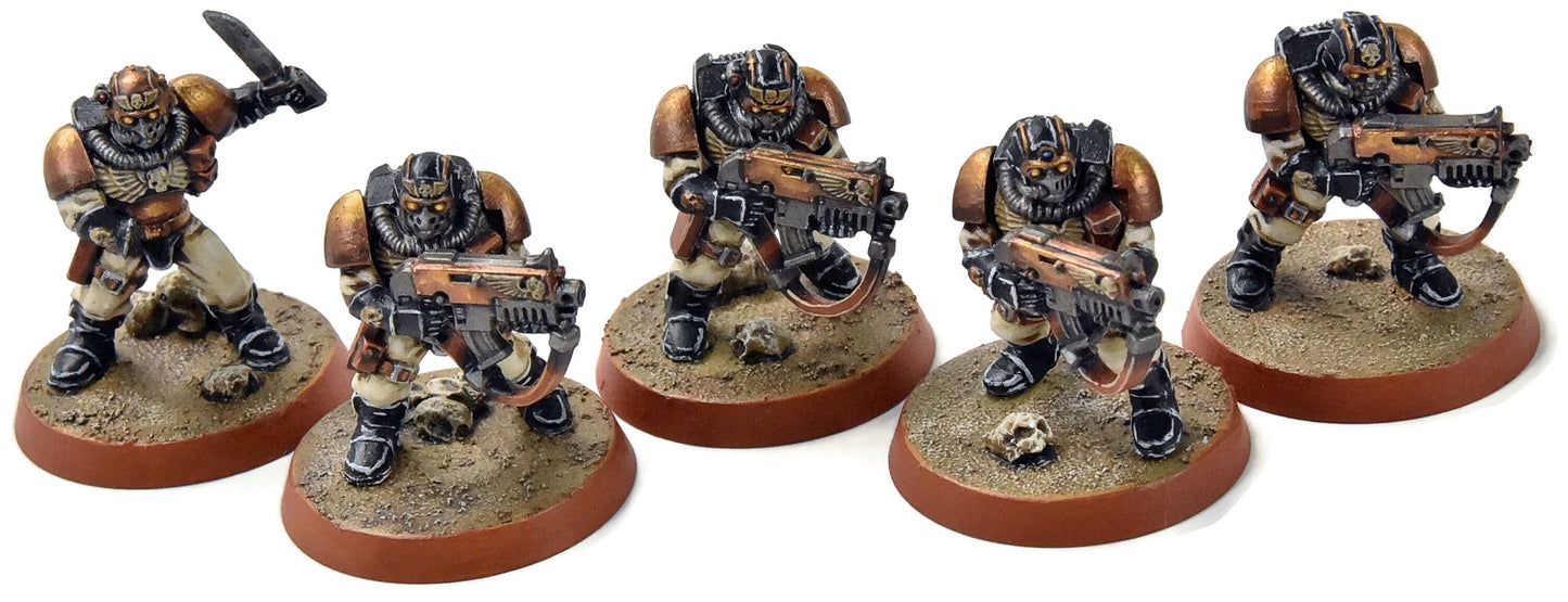 SPACE MARINES 5 Scouts #3 PRO PAINTED Warhammer 40K
