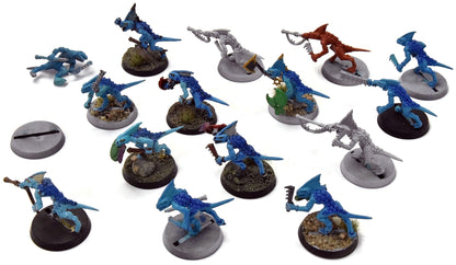 SERAPHON 15 Skinks #1 Sigmar