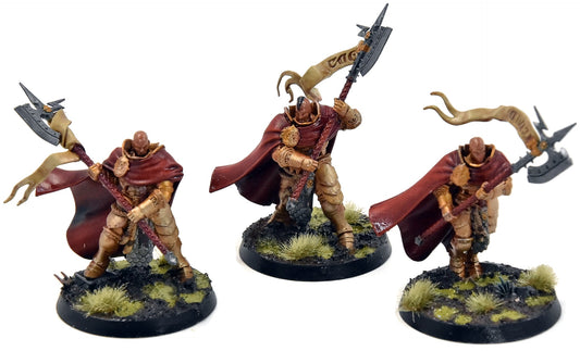 STORMCAST ETERNALS 3 Praetors #1 WELL PAINTED Sigmar 0798