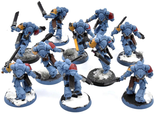SPACE WOLVES 10 Assault Intercessors #2 Warhammer 40K WELL PAINTED