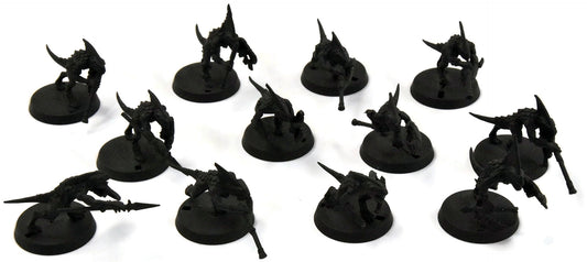 SERAPHON 12 Skinks #1 Sigmar