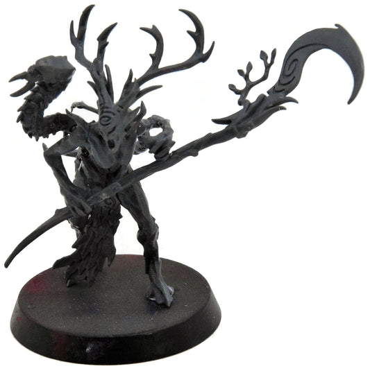 SYLVANETH Branchwych #1 Warhammer Sigmar 5064