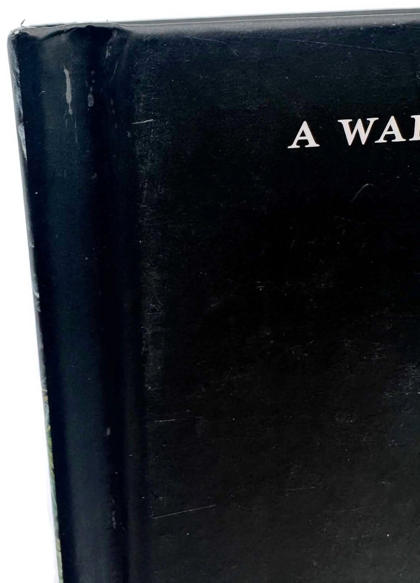 Warhammer Horror Novel The Oubliette - J C Stearns Hardback