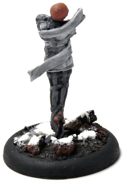 WARMACHINE Trancer #1 WELL PAINTED METAL Crucible Guard