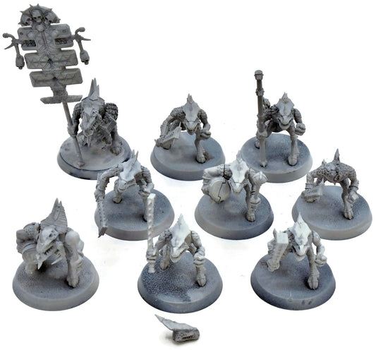 SERAPHON 9 Saurus Warriors #3 Warhammer Sigmar