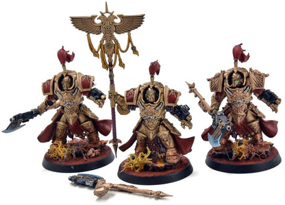 ADEPTUS CUSTODES 3 Allarus Custodians #3 PRO PAINTED Warhammer 40K