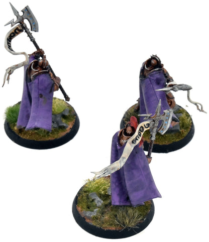 STORMCAST ETERNALS 3 Praetors #1 WELL PAINTED Warhammer Sigmar 0400