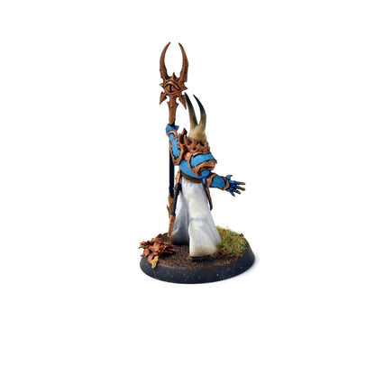 DISCIPLES OF TZEENTCH Chaos Sorcerer Lord WELL PAINTED Sigmar #1