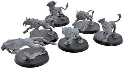 STORMCAST ETERNALS 6 Gryph Hounds #1 Warhammer Sigmar 2817