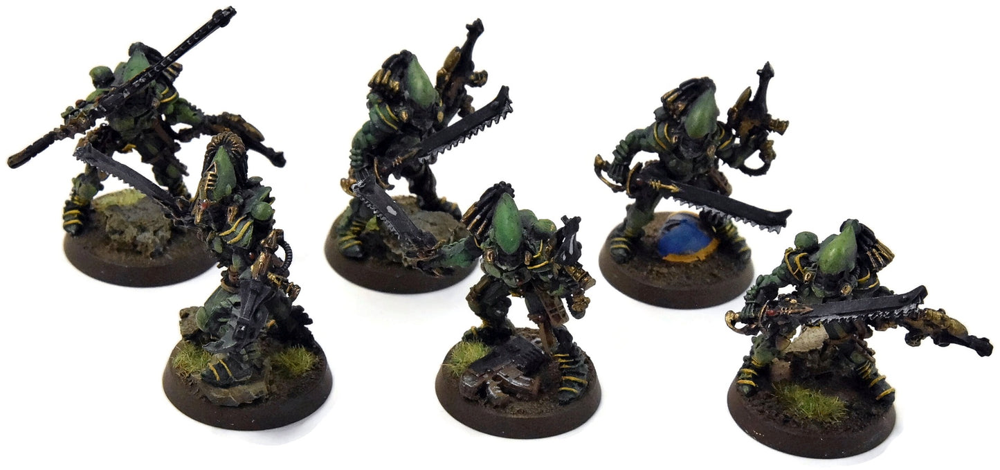 AELDARI 6 Striking Scorpions #1 Warhammer 40K WELL PAINTED