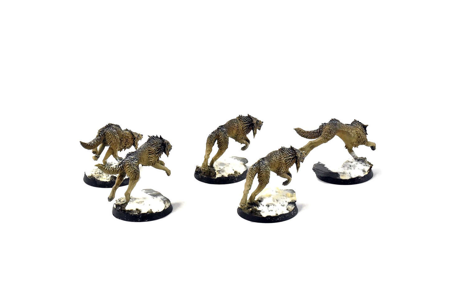 SPACE WOLVES Fenrisian Wolves #2 PRO PAINTED 40k