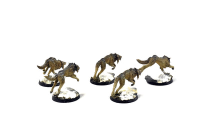 SPACE WOLVES Fenrisian Wolves #2 PRO PAINTED 40k