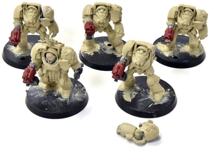 SPACE MARINES 5 Terminator Squad #13 Warhammer 40K