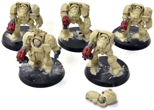 SPACE MARINES 5 Terminator Squad #13 Warhammer 40K