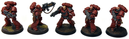 SPACE MARINES 10 Primaris Intercessors #1 WELL PAINTED Warhammer 40K