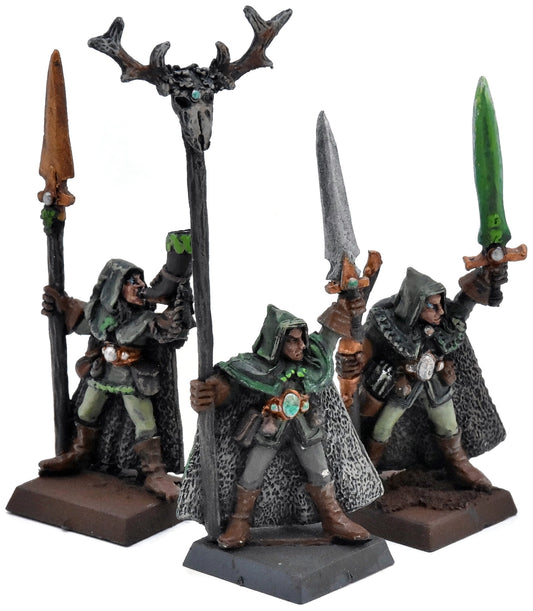 WOOD ELVES 3 Eternal Guard Command #1 METAL Warhammer Fantasy