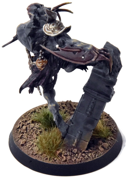 FLESH-EATER COURTS Abhorrent Archregent #1 PRO PAINTED