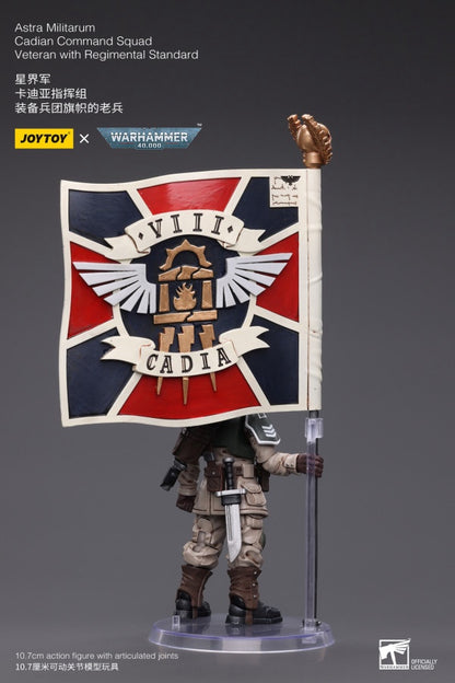 Cadian Command Squad Veteran with Regimental Standard Astra Militarum Joy Toy